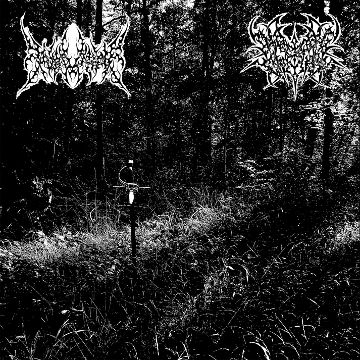 FEBRUARY & MARCH 2025 PREORDER PAGE (New Era, ALTARE, RABAUW, OSMOSE, and more) LP Duelliste & Daedric Chamber - split LP (new release marble color LP)