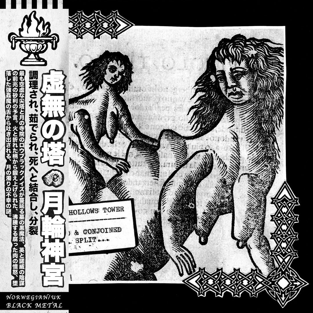 Goatowa Rex LP Back Catalogue Product Picker 2 (2024-2025) LP Hollows Tower/Moonshrine (UK/Nor) - Cooked Boiled & Conjoined into Death ... Split ... - LP