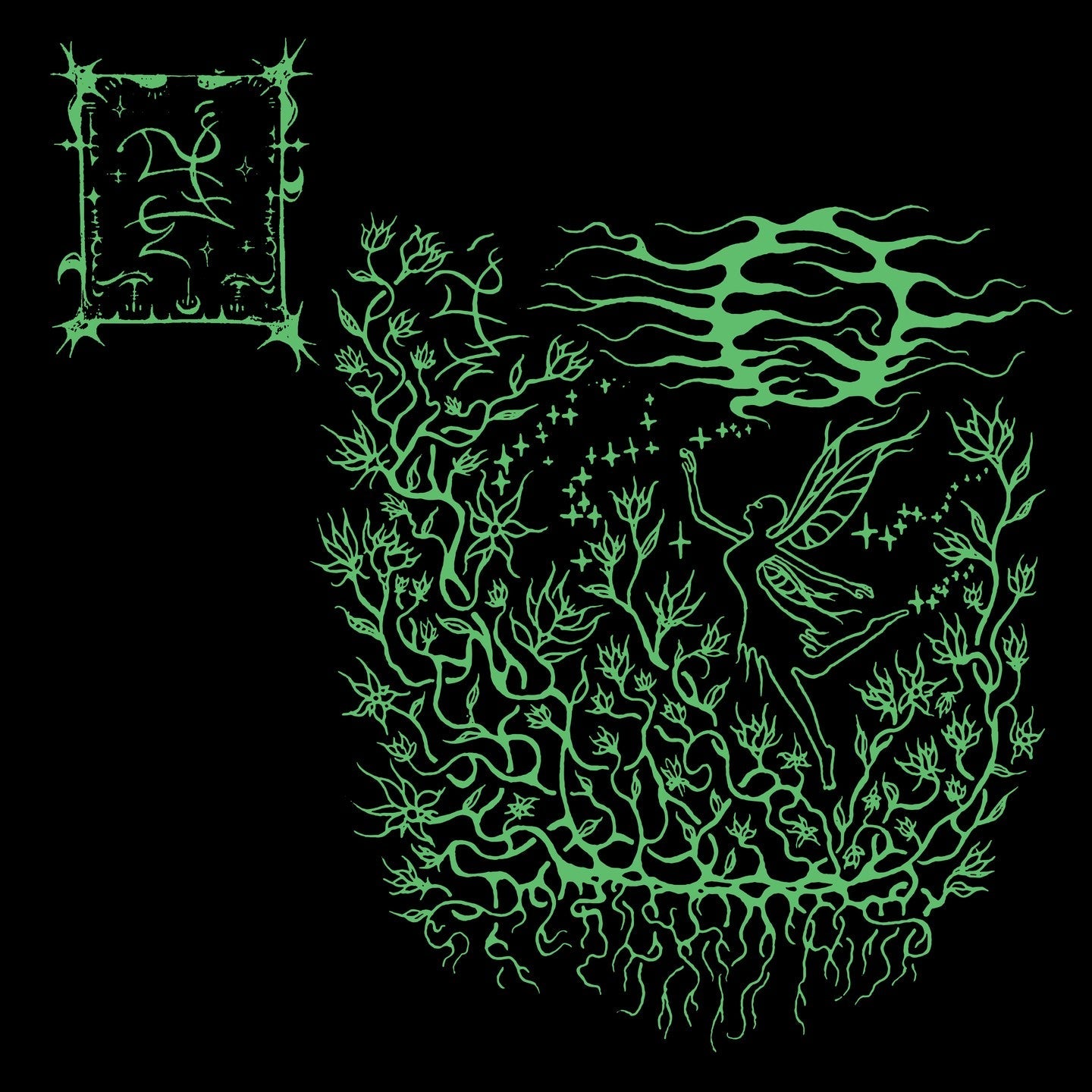 His Wounds Back Catalogue Picker (2022-2024) LP Trha/Starcave Nebula split LP (black)