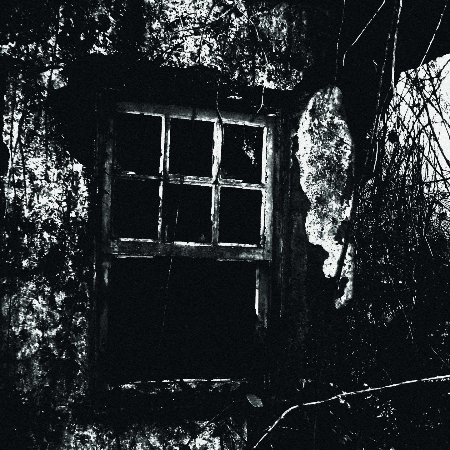 HIS WOUNDS JULY 2025 BATCH PICKER LP EERIFIED CATACOMB / NIGHT's THRESHHOLD- “SPLIT LP" LP (purple color )