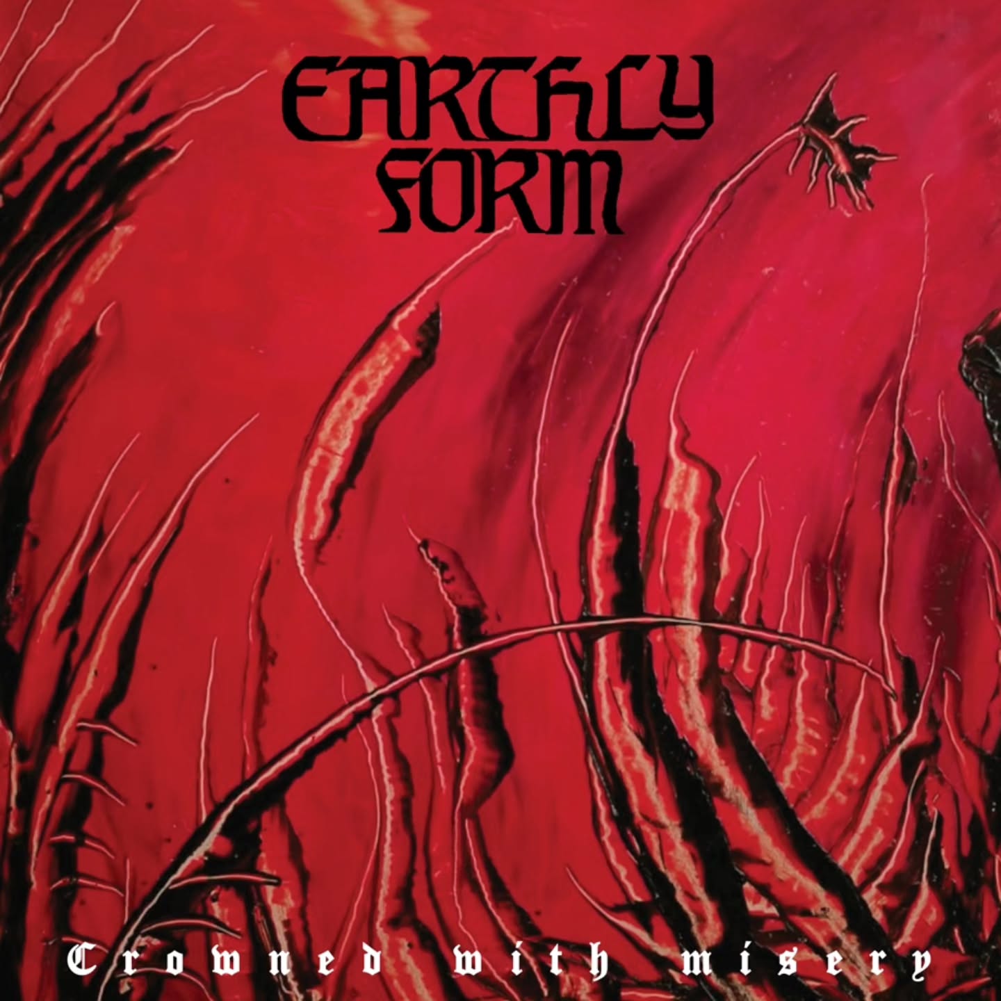 IXIOL AUGUST 2025 PRODUCT PICKER LP IXP192 - EARTHLY FORM - CROWNED WITH MISERY LP