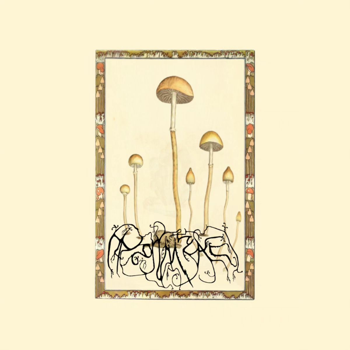 Ixiol Productions Back Catalogue Picker (2021-2024) LP