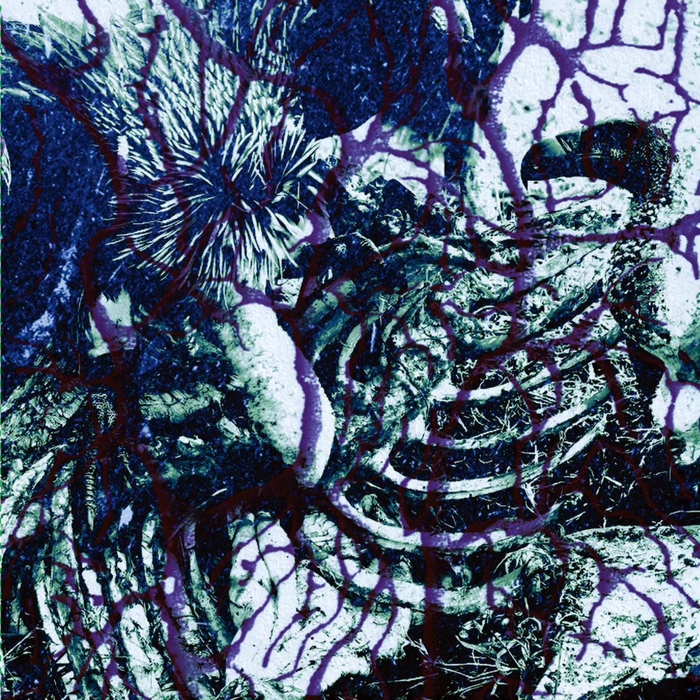 Ixiol Productions Back Catalogue Picker (2021-2024) LP Vinyl (LP or EP) August 2024- TORTURERS' LOBBY - DEADENED NERVES LP
