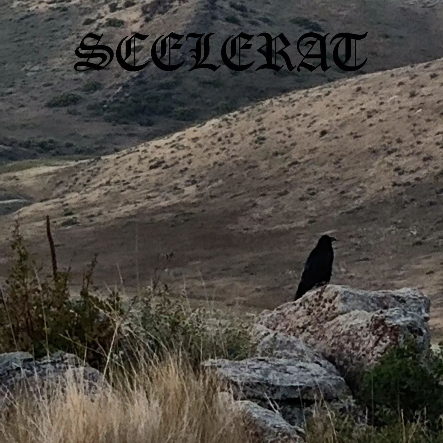 Ixiol Productions Back Catalogue Picker (2021-2024) LP Vinyl (LP or EP) September 2023- IXP041 - SCELERAT - DEMO 2020 LP