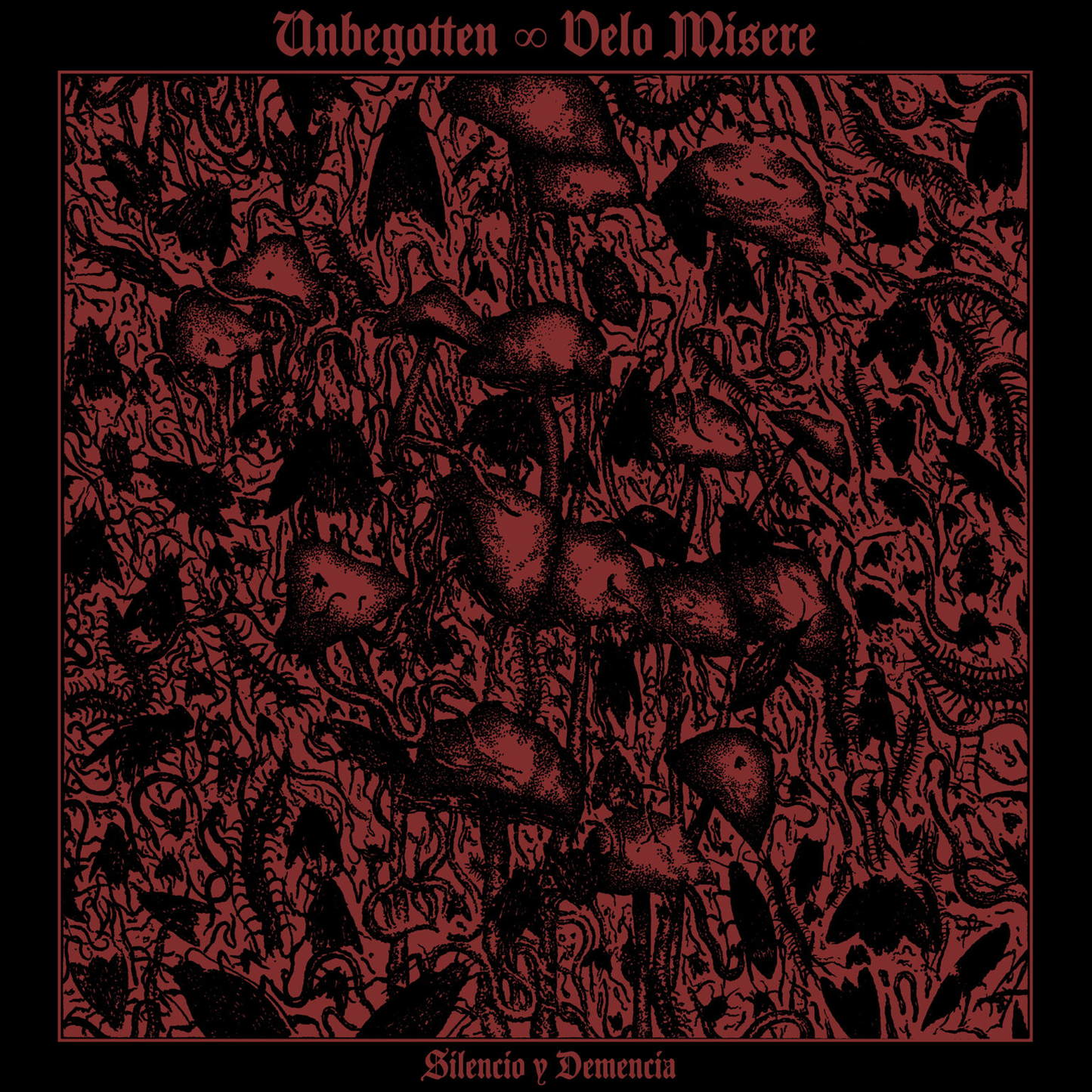 MAY 2025 PREORDER PICKER PAGE FOR VARIOUS LABELS LP Unbegotten / Velo Misere – Silencio y Demencia LP