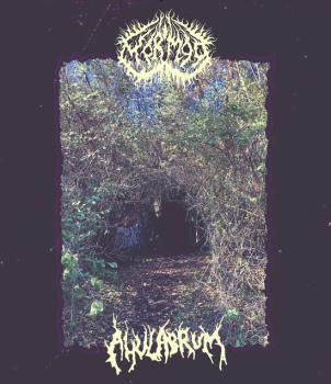 AHULABRUM - 2 NEW SPLIT LP BUNDLE LP   