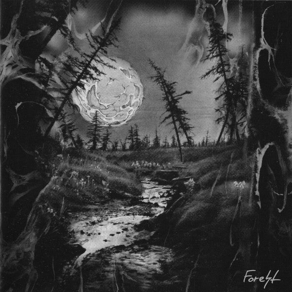 zASR-OCTOBER 2024 BM CLASSICS LPs LP  Forest 4 LP/DLP Bundle 