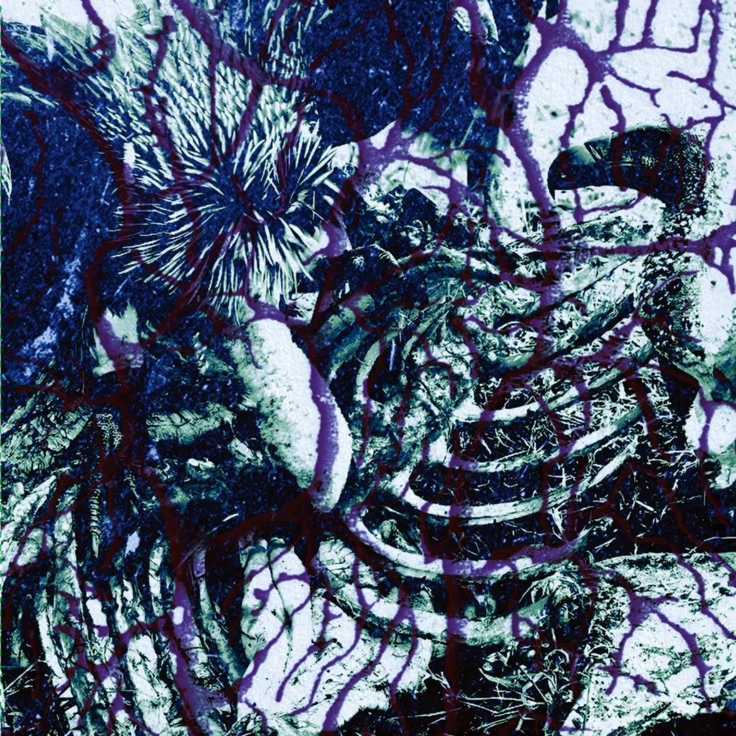 Ixiol Productions Back Catalogue Picker (20214-2025) pt2 LP