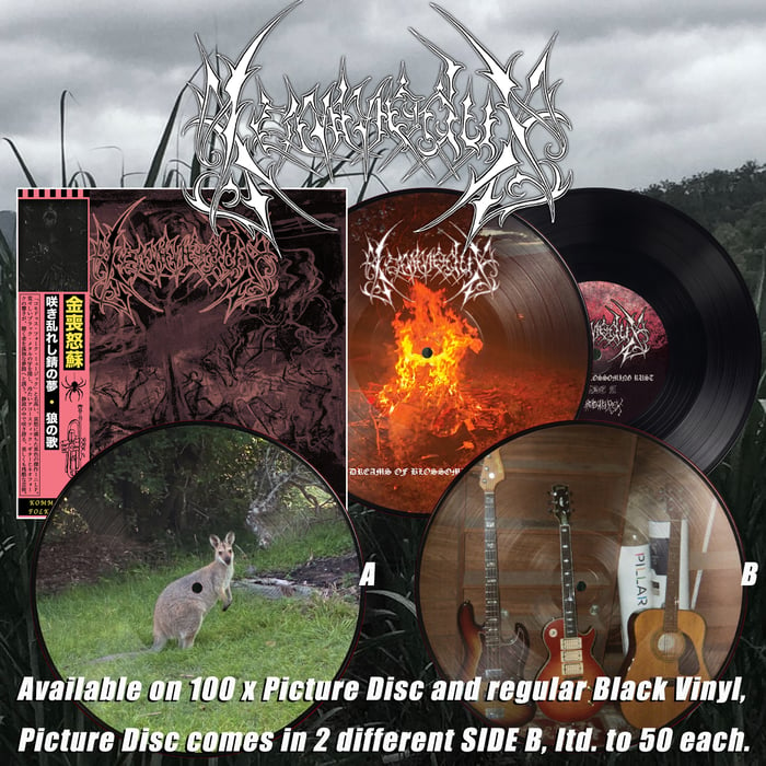 GOATOWA 15a-WAXGOAT417 Kommodus (Aus) - Dreams of Blossoming Rust - MLP (Picture Disc) --VERSION CHOSEN AT RANDOM WHEN PACKED. PLEASE DO NOT REQUEST A SPECIFIC VERSION july2026products2 LP GOATOWA REX