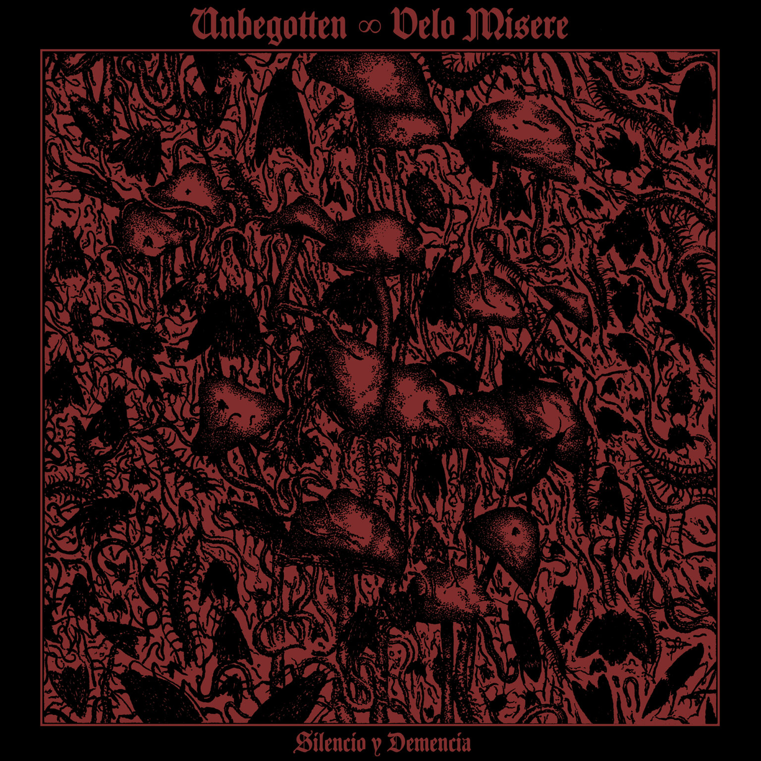 MAY 2025 PREORDER PICKER PAGE FOR VARIOUS LABELS LP Unbegotten / Velo Misere – Silencio y Demencia LP