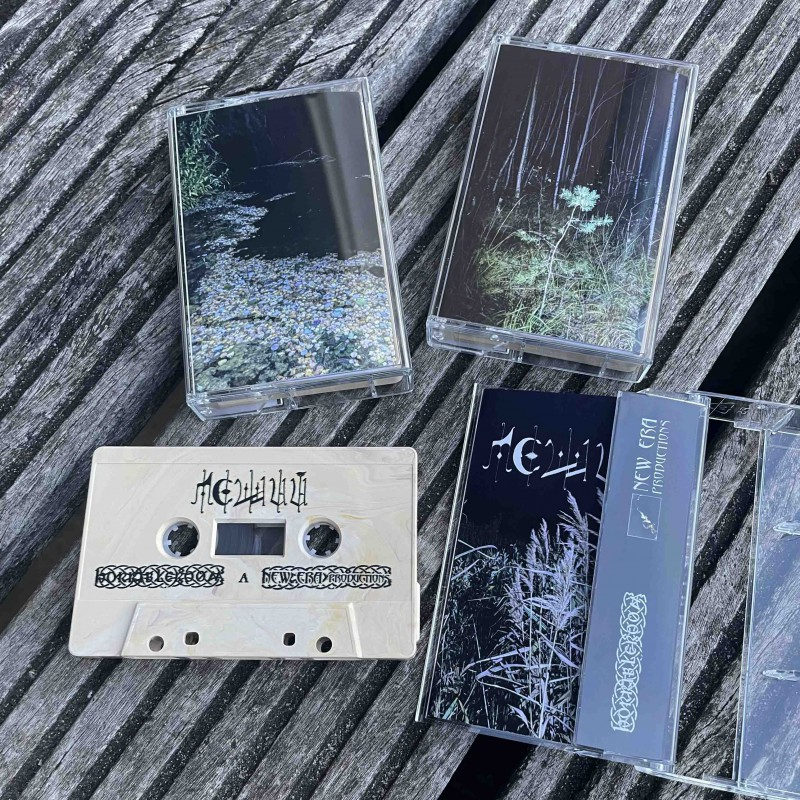 OCT-NOV 2025 VARIOUS LABEL PRODUCT PICKER (PREORDER) LP New Era Sept 2025 5 MC bundle-