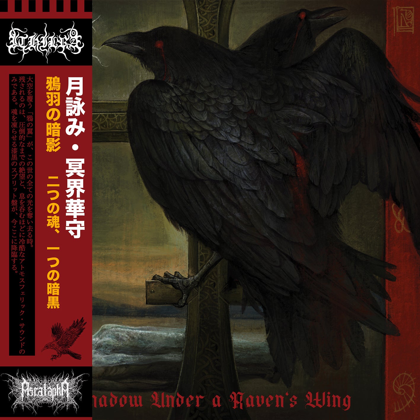 july2026products2 LP GOATOWA 5- WAXGOAT194 Ascalapha/Ithilrå (USA) - Shadow Under a Ravens Wing - LP (Red Vinyl)