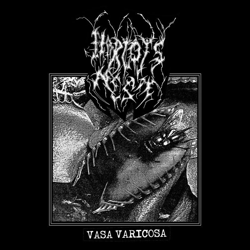 ALTARE NOV2024 PICKER LP  ALTLP131 Harlot's Nest - Vasa Varicosa LP 