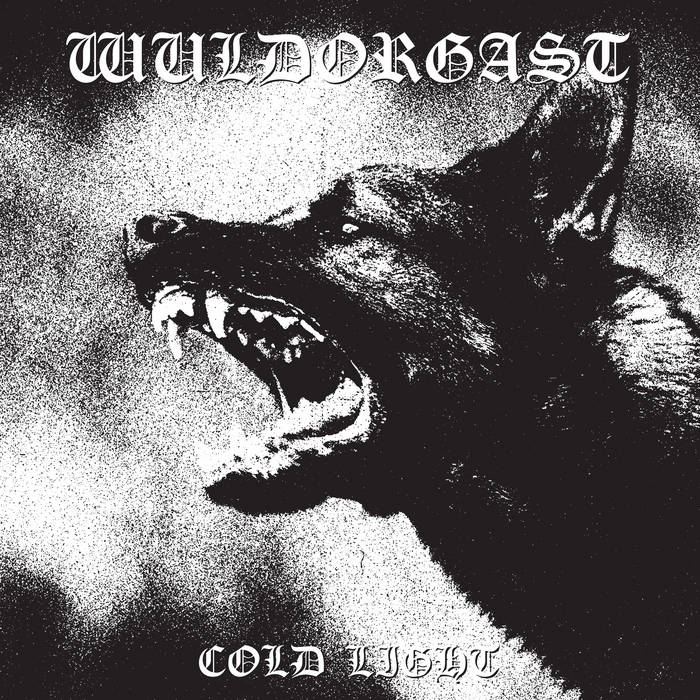 __December 24/January25 Misc LPs and MC items LP Wuldorgast (US) "Cold Light" LP (color splatter )